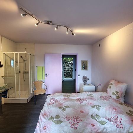 Residence Venus Garden Бриссаго Номер фото
